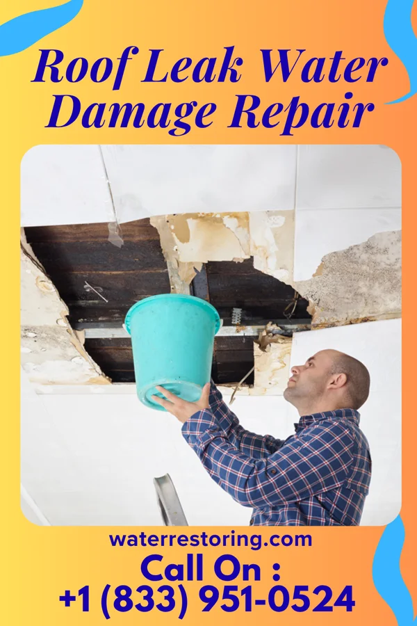 Roof Leak Water Damage Repair in North Harlem Colony, MT